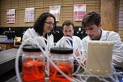 Bioengineering students working in the lab